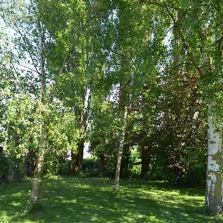 Logeren Bij Saar