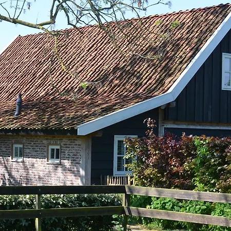 Logeren Bij Saar Wijdenes